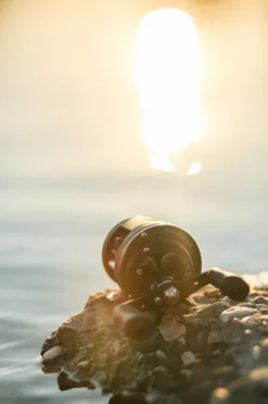 Ultimate Jerkstar 151 Black Edition 24 Ultimate Jerkstar 151 Black Edition -Velo Feuer Verkäufe 2e56294ae612ca5b