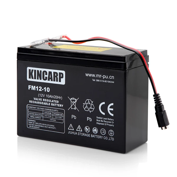 BearCreeks Scavenger Pro Baitboat Lithium + GPS Autopilot-System 4 BearCreeks Scavenger Pro Baitboat Lithium + GPS Autopilot-System – Bild 4