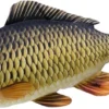 Gaby The Common Carp 64cm