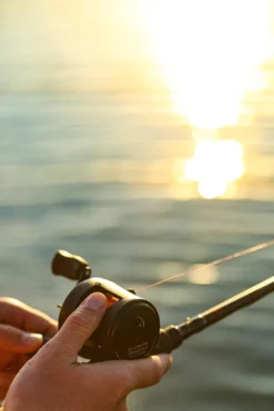 Ultimate Jerkstar 151 Black Edition 25 Ultimate Jerkstar 151 Black Edition -Velo Feuer Verkäufe aa3b9473ace10439